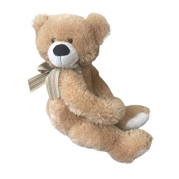 PROGRESSIVE PLUSH BROWN STUFFED ANIMAL BERNIE HUGGING BEAR 22465  Vase Bouquet - Picture 1 of 9
